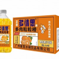 多情果多肉粒粒橙1Lx10瓶